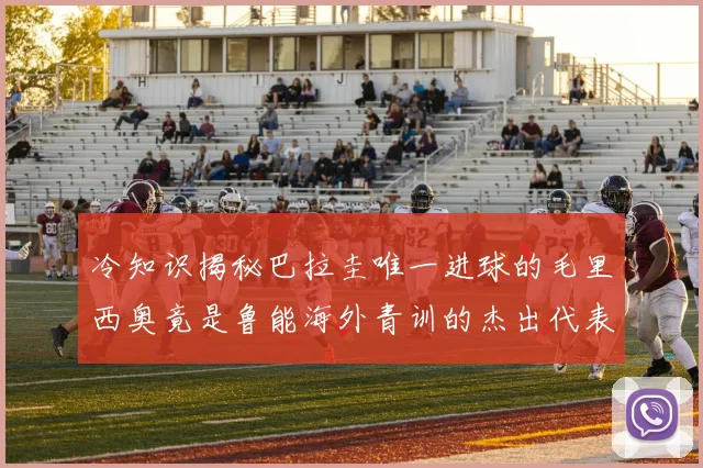 冷知识揭秘巴拉圭唯一进球的毛里西奥竟是鲁能海外青训的杰出代表
